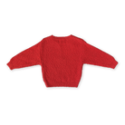 GROWN Organic Textured Knit Sweater in Sauce color, shown from the back, featuring a cozy, textured knit design.